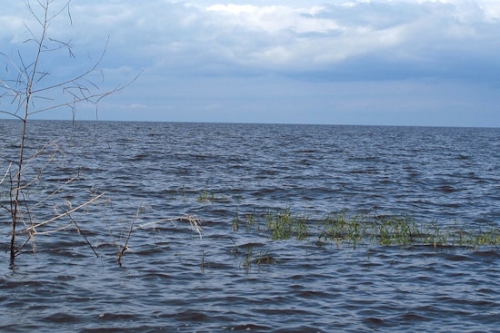 Health Alert Issued for Lake Okeechobee - S354 Due to Toxic Algae Bloom in Palm Beach County