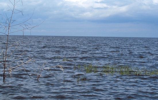 Health Alert Issued for Lake Okeechobee - S354 Due to Toxic Algae Bloom in Palm Beach County