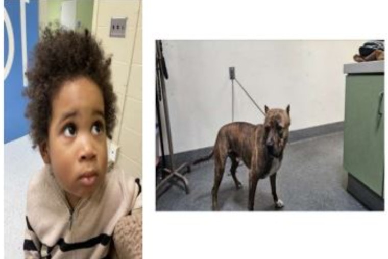 Heart-Wrenching Plea from LAPD: Help Us ID Toddler Abandoned in Highland Park Amid Bungled Car Heist