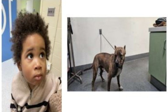 Heart-Wrenching Plea from LAPD: Help Us ID Toddler Abandoned in Highland Park Amid Bungled Car Heist