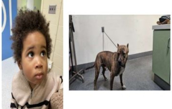Heart-Wrenching Plea from LAPD: Help Us ID Toddler Abandoned in Highland Park Amid Bungled Car Heist
