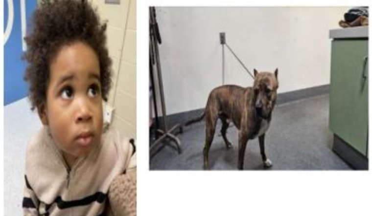 Heart-Wrenching Plea from LAPD: Help Us ID Toddler Abandoned in Highland Park Amid Bungled Car Heist