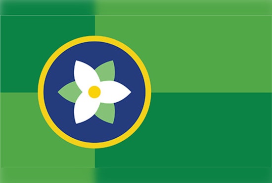 Hillsboro Unveils New Flag Symbolizing Community Unity and Cultural Heritage After Engaged Citizen Vote