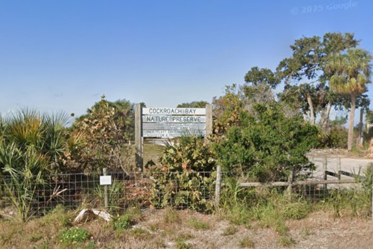 Hillsborough County Conducts Prescribed Burns at Cockroach Bay and Lower Green Swamp Nature Preserves