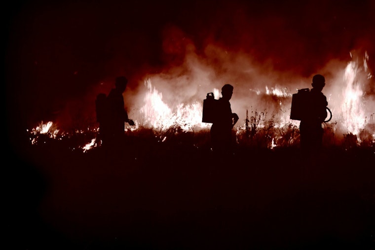 Hillsborough County Extends Emergency Burn Ban Amid Wildfire Risks