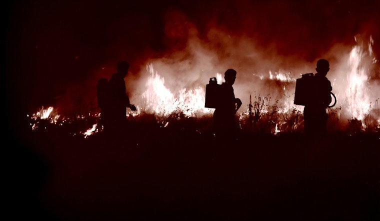 Hillsborough County Extends Emergency Burn Ban Amid Wildfire Risks