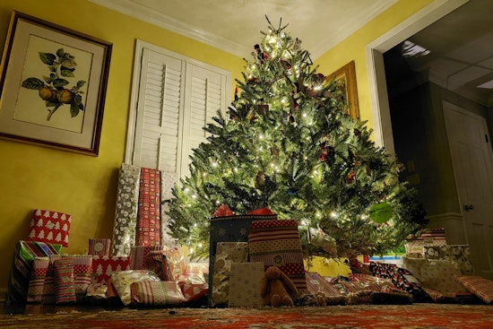 Hillsborough County Offers Eco-Friendly Christmas Tree Disposal Options to Residents