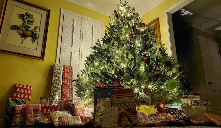 Hillsborough County Offers Eco-Friendly Christmas Tree Disposal Options to Residents