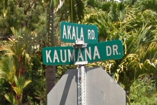 Hilo Home Burglarized During Termite Fumigation, Police Investigate Theft of Rifles on Kaumana Drive