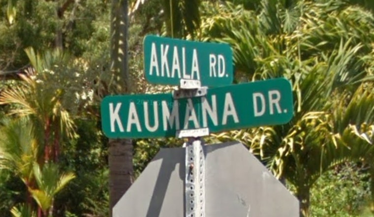 Hilo Home Burglarized During Termite Fumigation, Police Investigate Theft of Rifles on Kaumana Drive