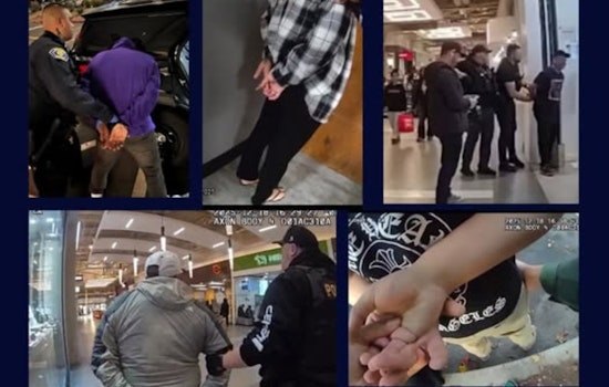 Holiday Shoplifters Slammed: 17 Busted In Great Mall Sting