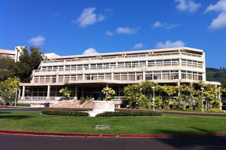 Honolulu Hackathon Upstarts Turn AI Into New Lifeline For Community Health Workers