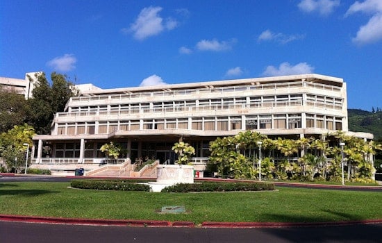 Honolulu Hackathon Upstarts Turn AI Into New Lifeline For Community Health Workers