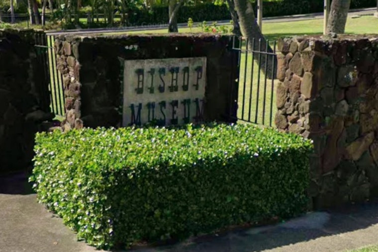 Honolulu’s Hui Waiwai Gala Turns Island Glam Into Housing Action