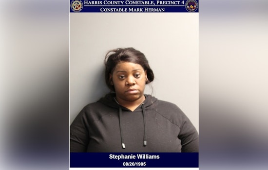 Houston Area Driver Charged with DWI After Failing Sobriety Test on FM 1960 Bypass Road