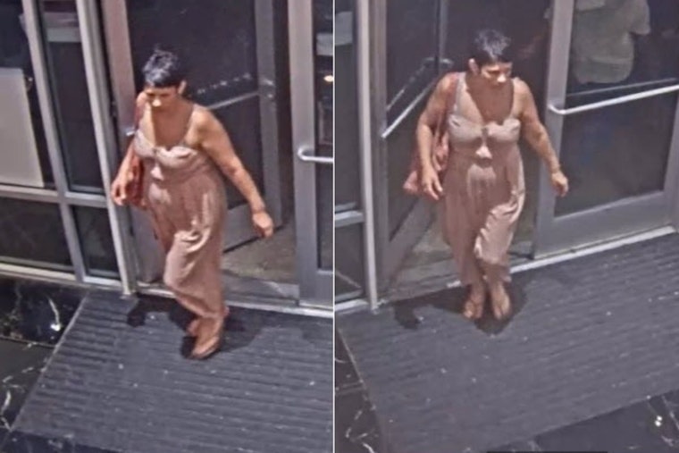Houston Authorities Seek Public Help to Identify Suspected Thief at Premium Outlet Mall's Victoria's Secret
