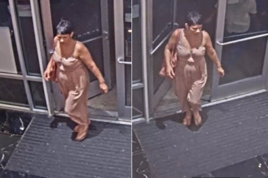Houston Authorities Seek Public Help to Identify Suspected Thief at Premium Outlet Mall's Victoria's Secret