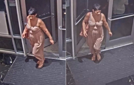 Houston Authorities Seek Public Help to Identify Suspected Thief at Premium Outlet Mall's Victoria's Secret