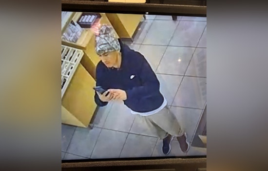 Houston Authorities Seek Suspect in $2,829 Sunglass Hut Heist at Premium Outlet Mall
