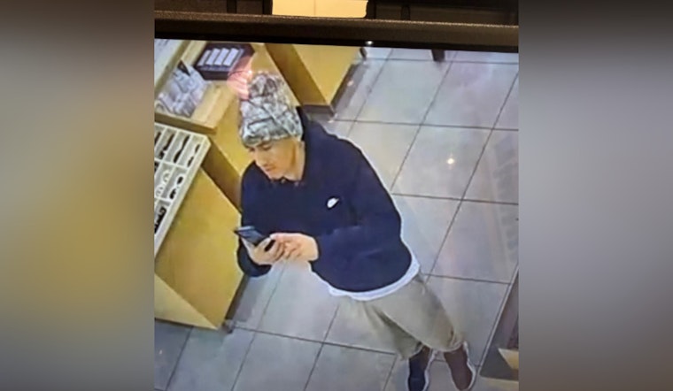 Houston Authorities Seek Suspect in $2,829 Sunglass Hut Heist at Premium Outlet Mall