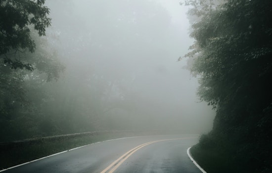Houston Shrouded in Dense Fog with Weather Whiplash on the Horizon