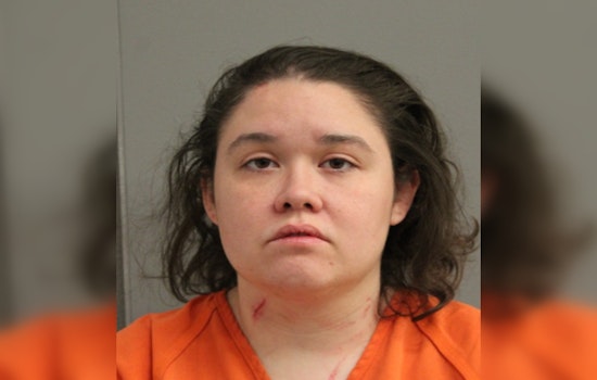 Houston Woman Charged with Injury to the Elderly and Assault After Incident in Northern Houston