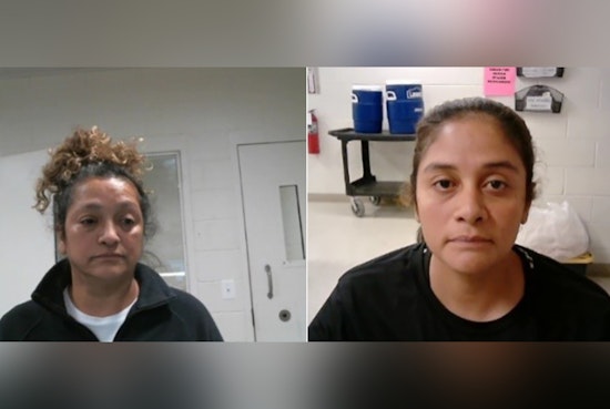 ICE Arrests Two Convicted of Child-Related Crimes in New Jersey and Texas Operations