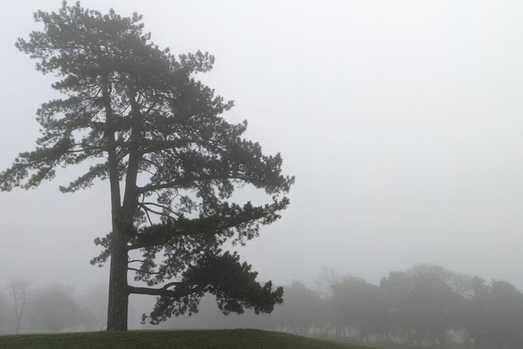 Indianapolis Residents Warned of Freezing Fog and Light Snow in Hazardous Weather Outlook
