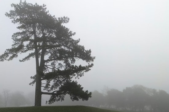 Indianapolis Residents Warned of Freezing Fog and Light Snow in Hazardous Weather Outlook