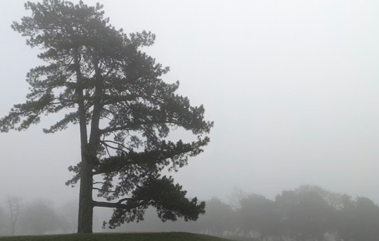 Indianapolis Residents Warned of Freezing Fog and Light Snow in Hazardous Weather Outlook