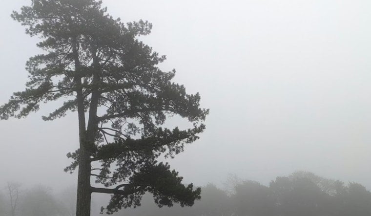 Indianapolis Residents Warned of Freezing Fog and Light Snow in Hazardous Weather Outlook
