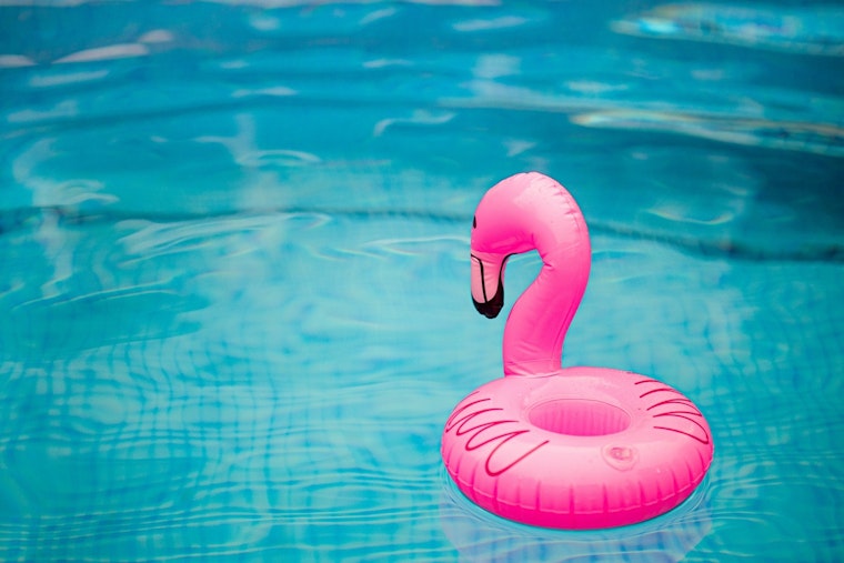 Inflatable Flamingo Frenzy Has Plumas Lake Neighbors Racing Block to Block