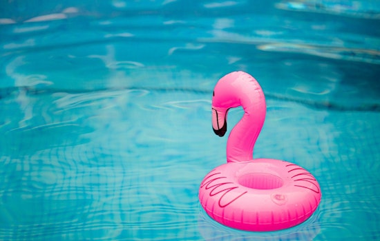 Inflatable Flamingo Frenzy Has Plumas Lake Neighbors Racing Block to Block