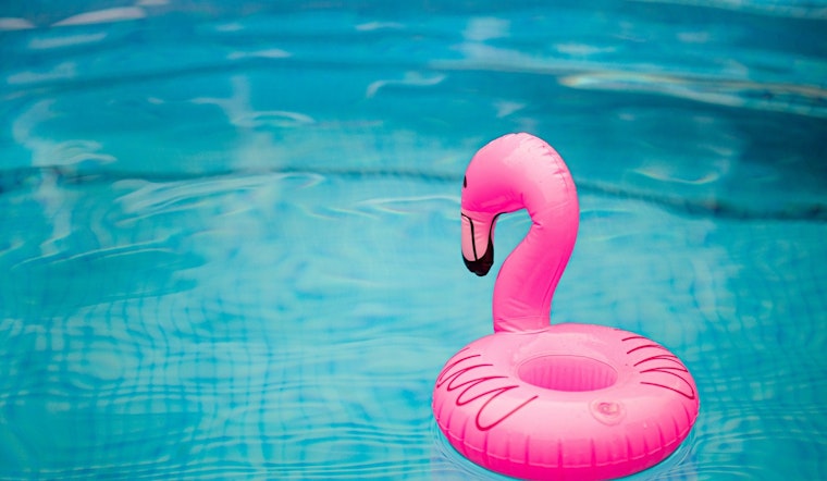 Inflatable Flamingo Frenzy Has Plumas Lake Neighbors Racing Block to Block