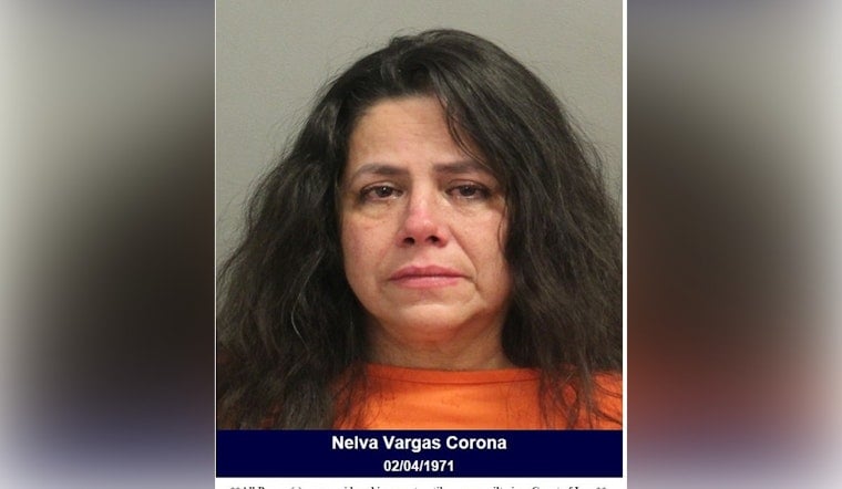 Intoxicated Driver Nelva Vargas Corona Arrested After High-Speed Chase on Hardy Toll Road