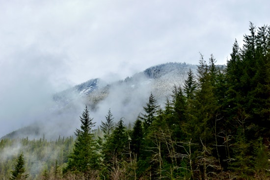 Dense Fog Advisory Issued for Seattle Area; Low Visibility and Black Ice Pose Risks