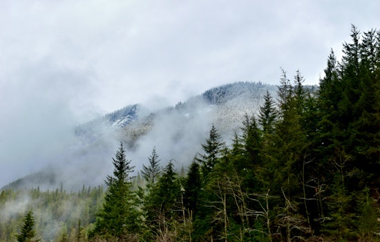 Dense Fog Advisory Issued for Seattle Area; Low Visibility and Black Ice Pose Risks