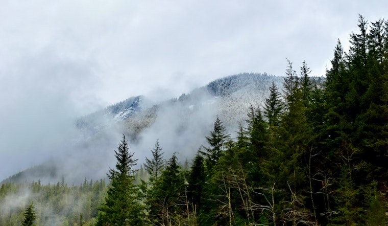 Dense Fog Advisory Issued for Seattle Area; Low Visibility and Black Ice Pose Risks