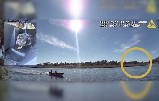Jacksonville Officers and Fishermen Team Up to Rescue Stranded French Bulldog from Ribault River