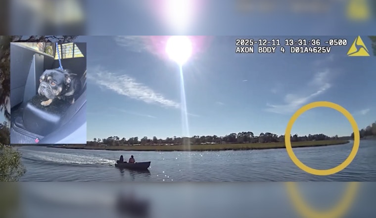 Jacksonville Officers and Fishermen Team Up to Rescue Stranded French Bulldog from Ribault River