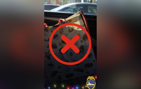 Jacksonville Sheriff’s Office Urges Vigilance After 159 Auto Burglaries as Most Vehicles Were Left Unlocked