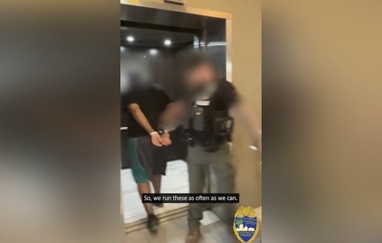 Jacksonville Sting Operation 'Cold Turkey' Nets 13 Arrests in Prostitution Crackdown