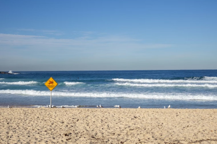 Jacksonville Weather Service Issues Rip Current Warning for Southeast Georgia and Northeast Florida Beaches