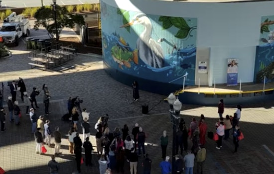 Jacksonville Welcomes "Water Abundance" Mural Highlighting St. Johns River and Conservation Efforts
