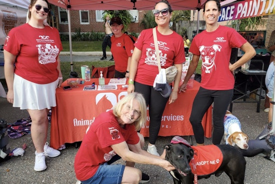 Jacksonville's ACPS Celebrates Record-Breaking 600 Pet Adoptions, Exceeding #ClearTheCages Goal