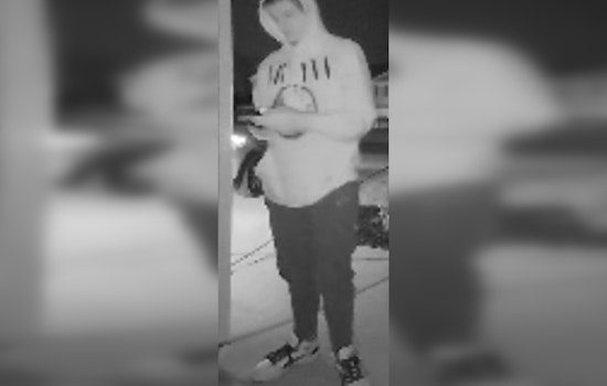 Jefferson City Police Seek Help Identifying DoorDash Driver Involved in Traffic Incident