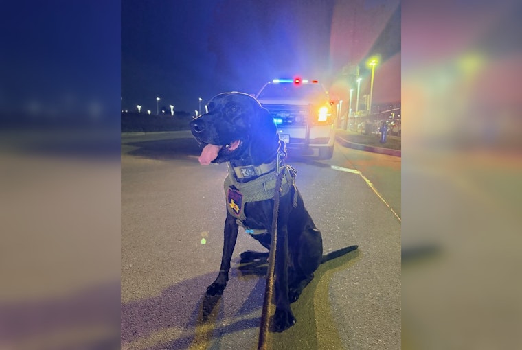 K9 And Drone Team Track Down Missing Kids Near Greenwood Forest