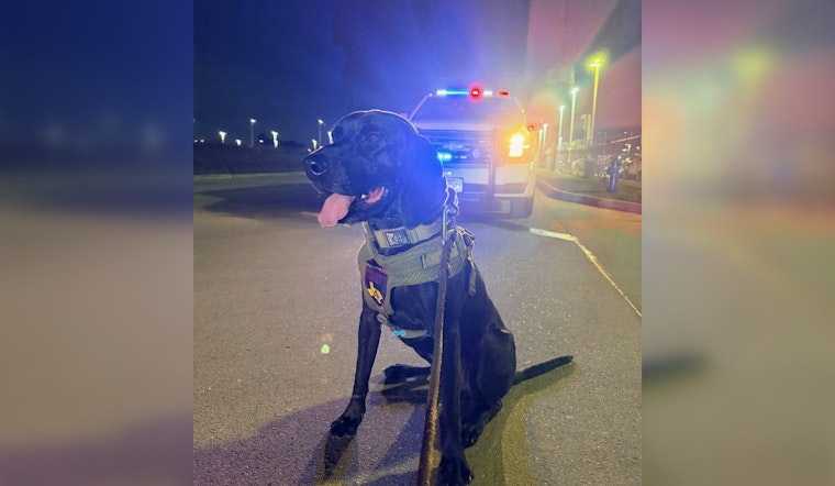 K9 And Drone Team Track Down Missing Kids Near Greenwood Forest