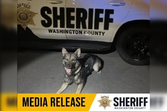 K9 Griff Assists in Apprehending Suspects After Traffic Crash in Tigard