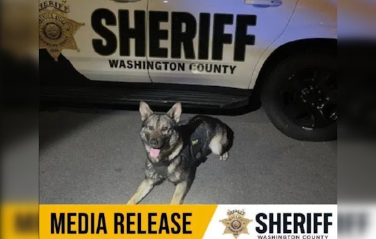 K9 Griff Assists in Apprehending Suspects After Traffic Crash in Tigard
